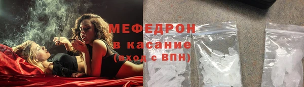 хмурый Аркадак