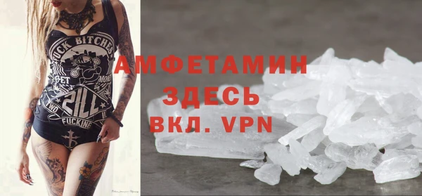 хмурый Аркадак