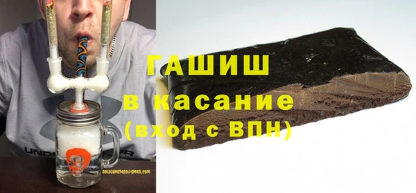 хмурый Аркадак