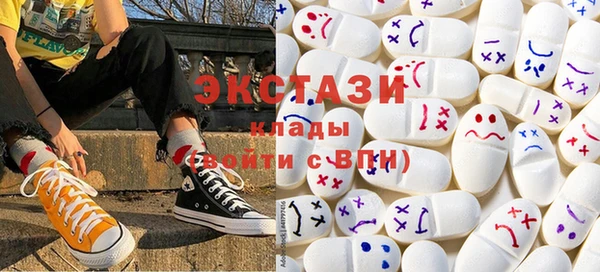 хмурый Аркадак