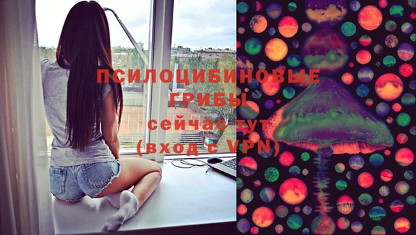 хмурый Аркадак