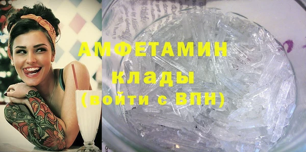 хмурый Аркадак