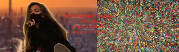 хмурый Аркадак